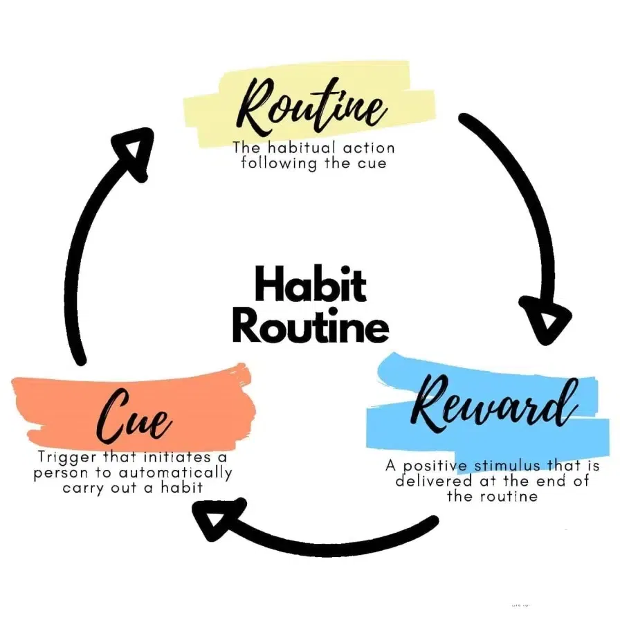 The Power of Habit by Charles Duhigg