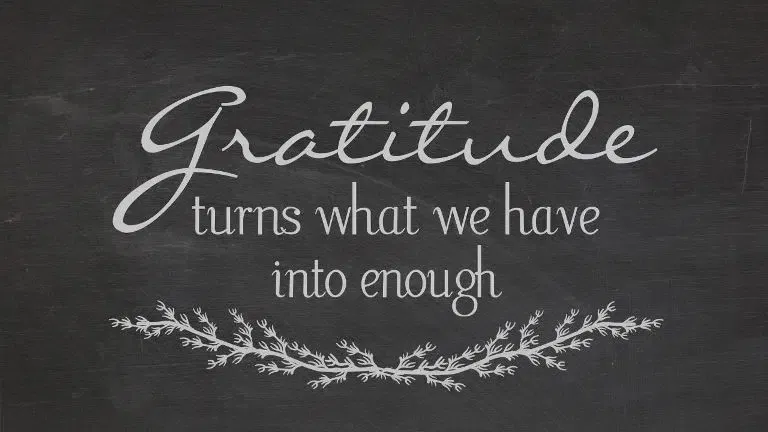 Gratitude And Self Study Of Emotions 