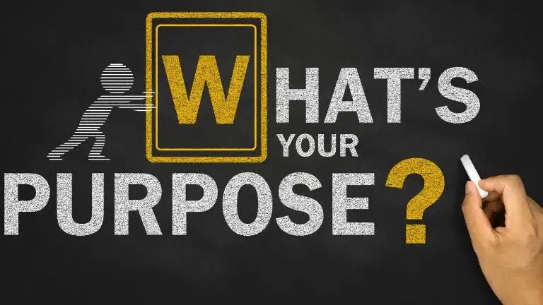 Pain And Purpose