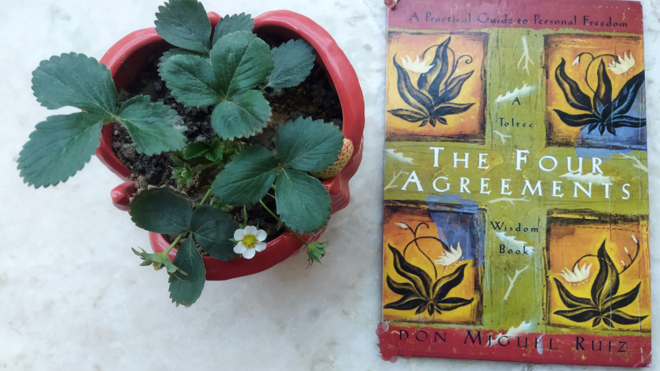 The four agreements book