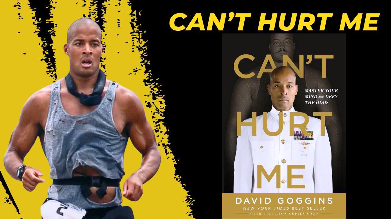 can't hurt me summary
