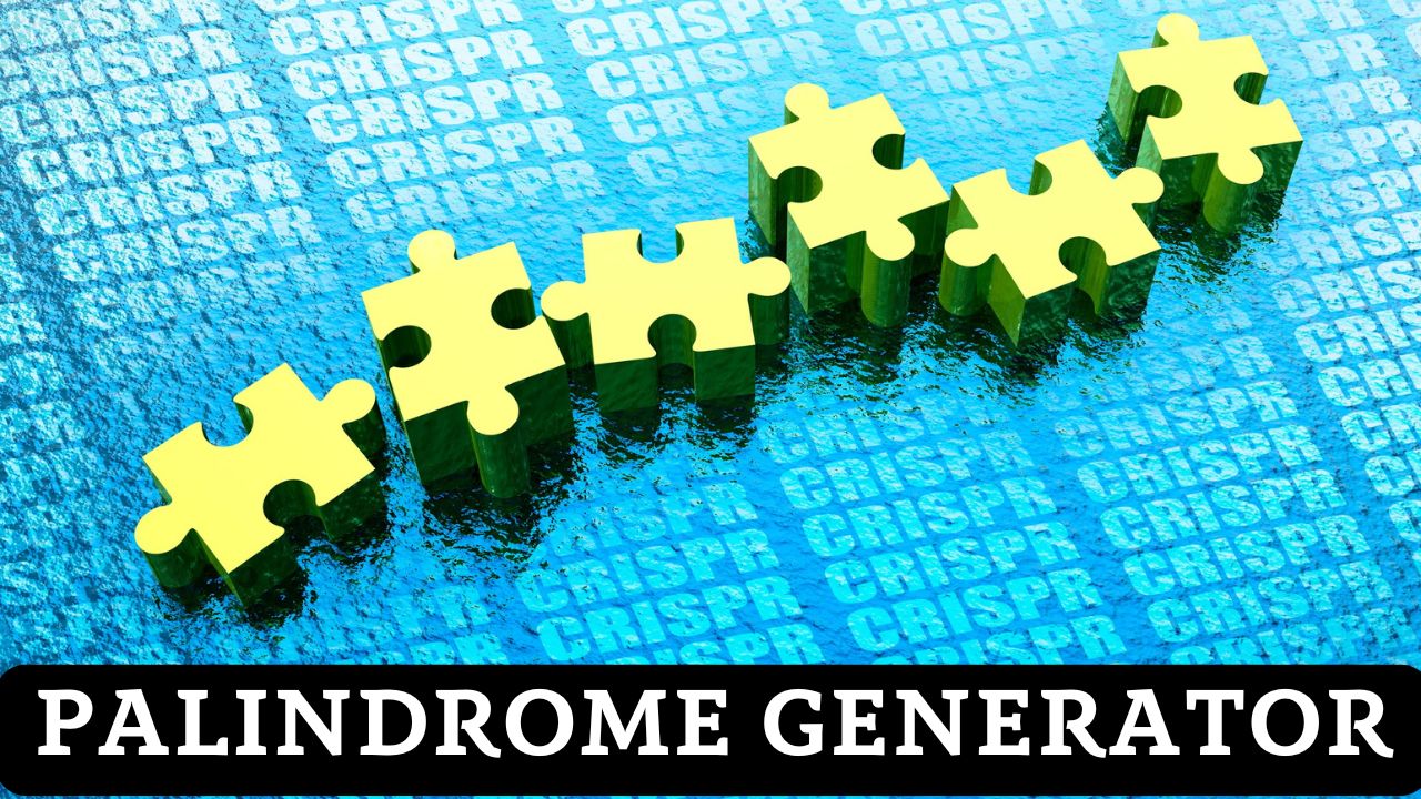 Palindrome Generator